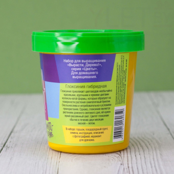 Набор для выращивания "Глоксиния гибридная"