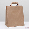 Пакет крафт без печати, плоская ручка 24 х 14 х 28 см