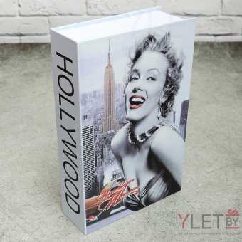 Книга сейф Мерлин 24*16 см.