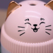 Настольный увлажнитель воздуха - ночник "Cat", pink, портативный, USB Настольный увлажнитель воздуха - ночник "Cat", pink, портативный, USB