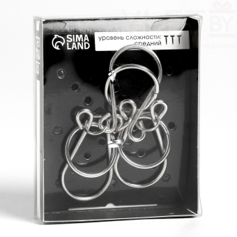 Головоломка «Раздели на части» №12