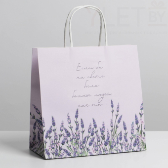 Пакет подарочный Если бы 22 х 22 х 11 см