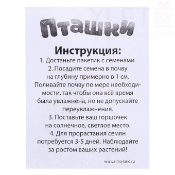 Набор для опытов, для детей «Пташки, выращиваем травку», растение в жёлтом горшочке