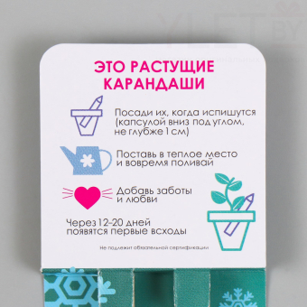 Растущие карандаши подарочные «Голубая Ель + Сосна» 2 шт.№3