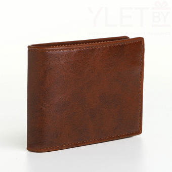 Портмоне мужское "Элит" без застёжки, отдел для карт, монет, цвет коричневый