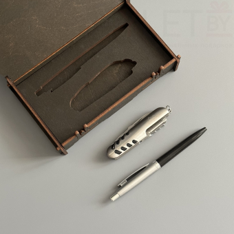 Подарочный набор "Самому сильному и надежному" горы (Ручка, мультитул)