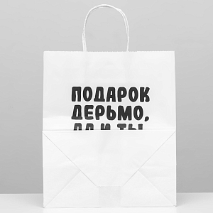 Пакет подарочный Ты не очень 24 х 14 х 30 см