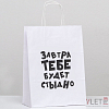 Пакет подарочный Завтра тебе будет стыдно, 24 х 10.5 х 32 см