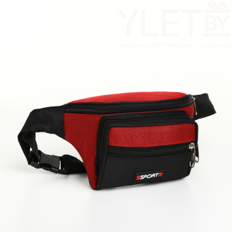 Сумка поясная "Спорт" на молнии, 32*8*13,5 см, 3 наружных кармана, цвет красный/чёрный