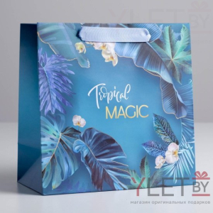 Пакет ламинированный квадратный Magic, 22 × 22 × 11 см