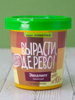 Набор для выращивания "Эвкалипт лимонный"