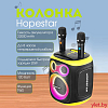 Портативная колонка Hopestar Party 130 120W с двумя микрофонами Черная