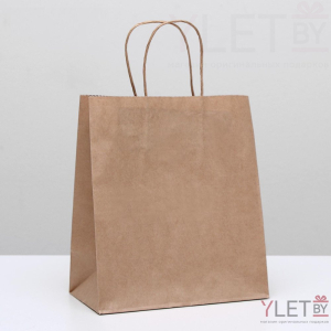Пакет крафт без печати, круглая ручка 22 х 12 х 25 см