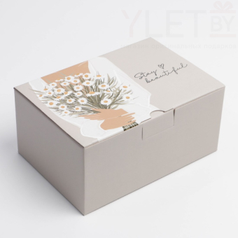 Коробка пенал Stay beautiful 22 × 15 × 10 см