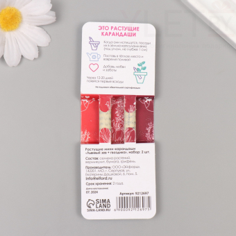 Растущие карандаши подарочные «Львиный зев + гвоздика» 2 шт.