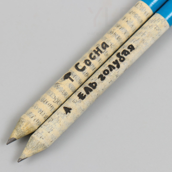 Растущие карандаши подарочные «Голубая Ель + Сосна» 2 шт.№3