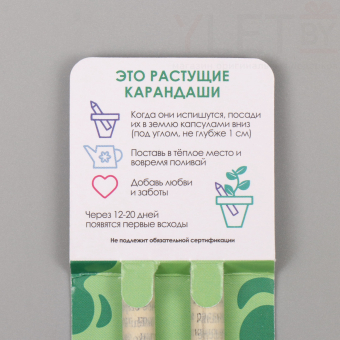 Растущие карандаши подарочные «Мята и Паприка» 2 шт.