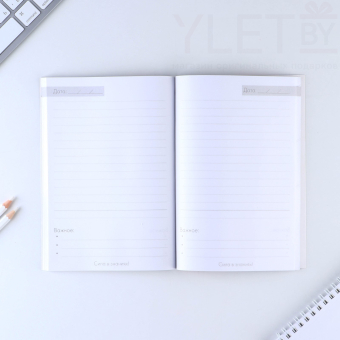 Подарочный набор, ежедневник, ручки 2 шт. шариковые, 1 мм, синяя, красная паста «Учителю»