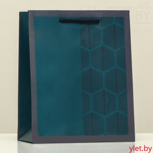 Пакет подарочный Строгость, 18 х 22.3 х 10 см