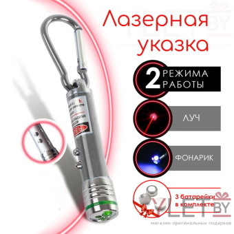 Лазерная указка с карабином