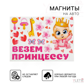Набор магнитов на авто «Везем принцессу!», на выписку