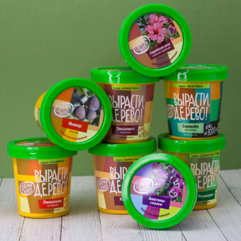 Набор для выращивания "Глоксиния гибридная"