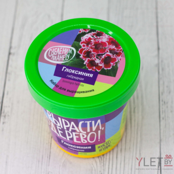 Набор для выращивания "Глоксиния гибридная"