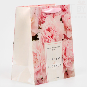 Пакет ламинированный Счастья и успехов, радужная голография, 18 х 23 х 10 см