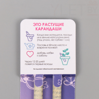 Растущие карандаши подарочные «Лаванда + Ромашка» 2 шт.