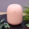 Настольный увлажнитель воздуха -  ночник "Lucky flower", pink, (портативный, USB)