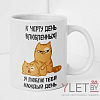 Кружка Я люблю тебя каждый день