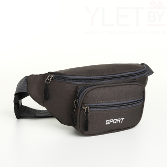 Сумка поясная "Грейс" на молнии, 30*10*14 см, 2 наружных кармана, серый