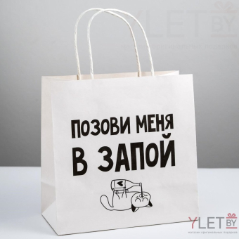 Пакет подарочный Позови меня, 22 × 22 × 11 см