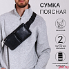 Сумка поясная "Шик" на молнии, 26*1*14 см, 2 наружных кармана, черный