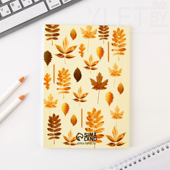 Подарочный набор, ежедневник, стикеры, ручка шариковая, синяя паста «Подарок дорогому учителю»