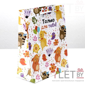 Пакет ламинированный Только для тебя  18 х 23 х 8 см