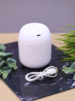 Настольный увлажнитель воздуха - ночник "Lucky flower", white, (портативный, USB)