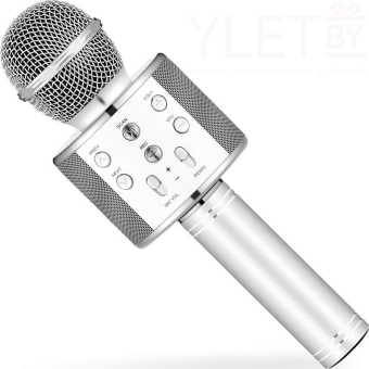 Караоке микрофон WS-858 Серебро