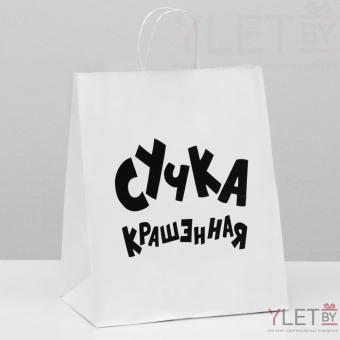 Пакет подарочный Крашенная 24 х 10.5 х 32 см