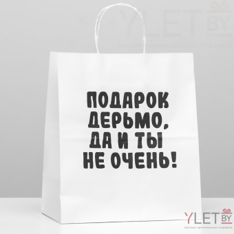 Пакет подарочный Ты не очень 24 х 14 х 30 см