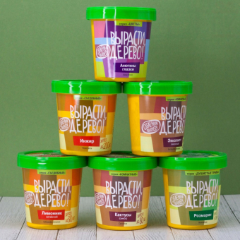 Набор д/выращивания растений "Вырасти, Дерево!", "Веймутова новогодняя сосна"