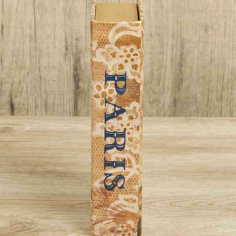 Сейф книга Весна в Париже, 21х13х5 см