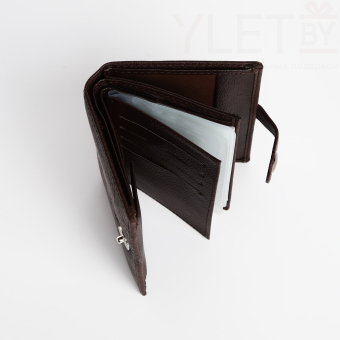 Портмоне мужское "Бруклин" на магните, 3 в 1, для купюр, автодокументов и паспорта, цвет коричневый