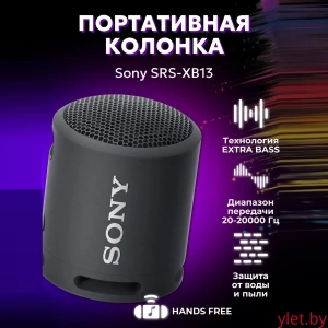Колонка беспроводная музыкальная Sony SRS-XB13 (черная)