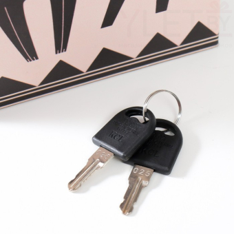 Сейф книга Геометрия. Лев, 21х13х5 см