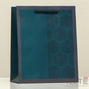 Пакет подарочный Строгость, 18 х 22.3 х 10 см